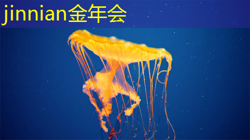 怎么样用ai写程序游戏